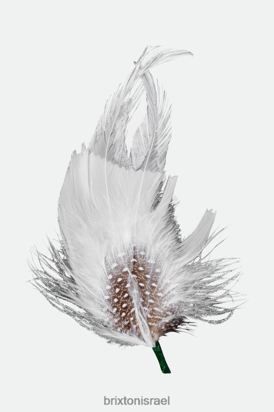 רַב אביזרים LJ8VJ351 נוצת כובע רוברט לִשְׁנֵי הַמִינִים Brixton