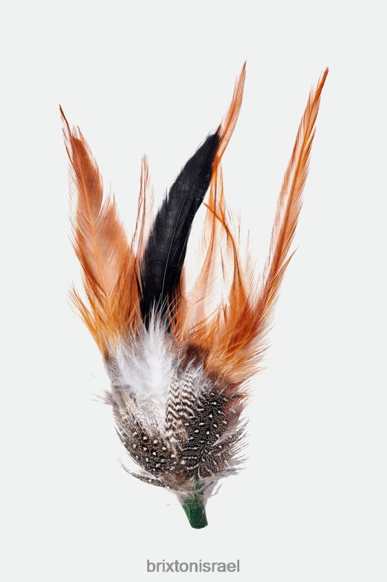 רַב אביזרים LJ8VJ352 נוצת כובע קווין לִשְׁנֵי הַמִינִים Brixton