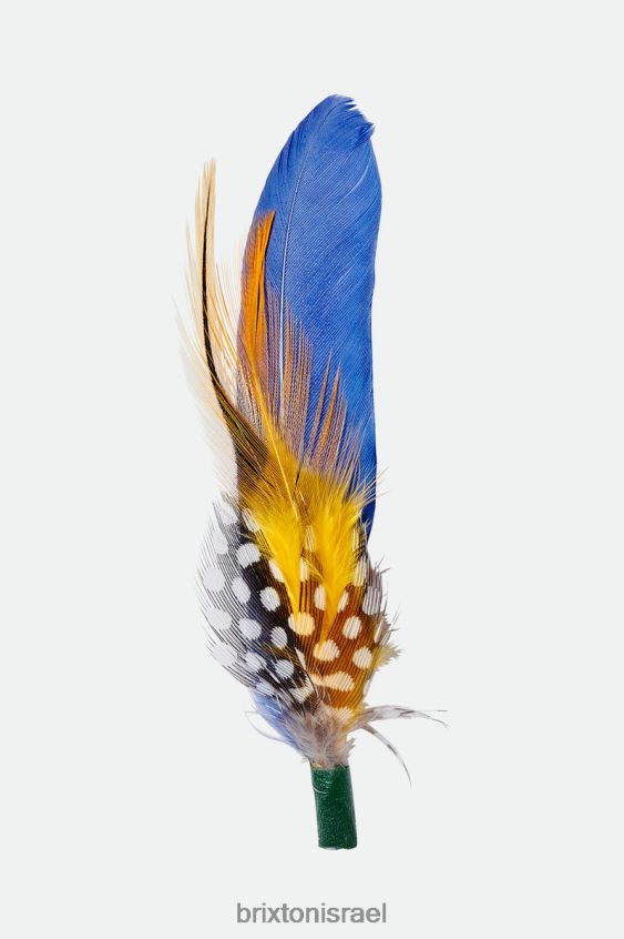 רַב אביזרים LJ8VJ353 נוצת כובע קית' לִשְׁנֵי הַמִינִים Brixton